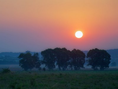 La douceur du matin_7922416826_l.jpg